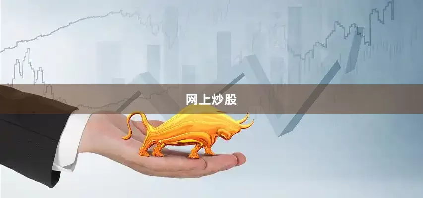 网上炒股
