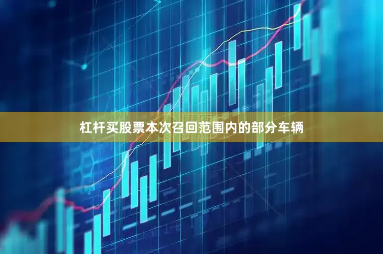 杠杆买股票本次召回范围内的部分车辆