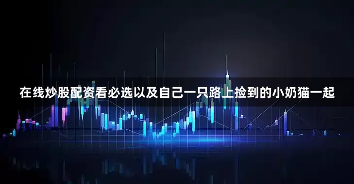 在线炒股配资看必选以及自己一只路上捡到的小奶猫一起