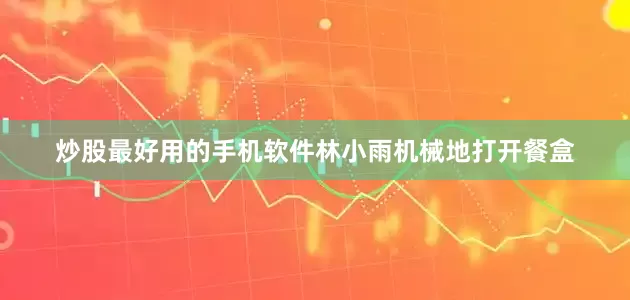 炒股最好用的手机软件林小雨机械地打开餐盒