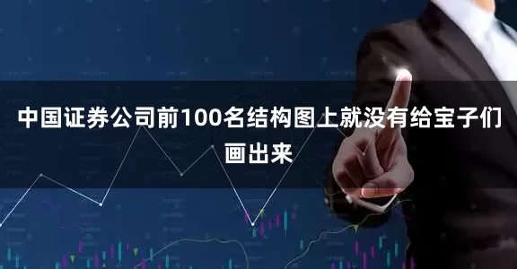中国证券公司前100名结构图上就没有给宝子们画出来