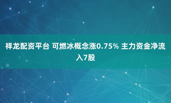 祥龙配资平台 可燃冰概念涨0.75% 主力资金净流入7股