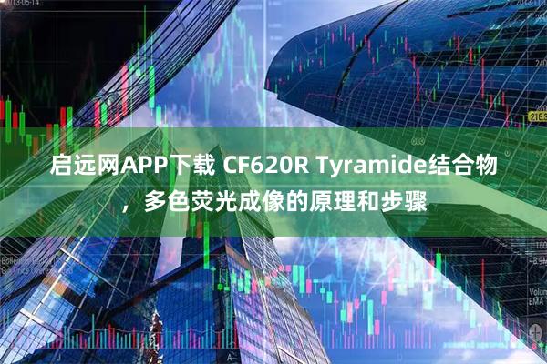 启远网APP下载 CF620R Tyramide结合物，多色荧光成像的原理和步骤
